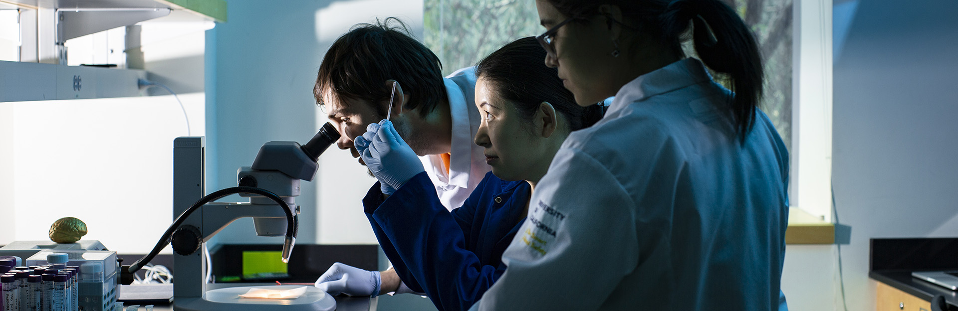 MCSB Prof. Sachiko Yamanaka in lab with microscope (c) UCR