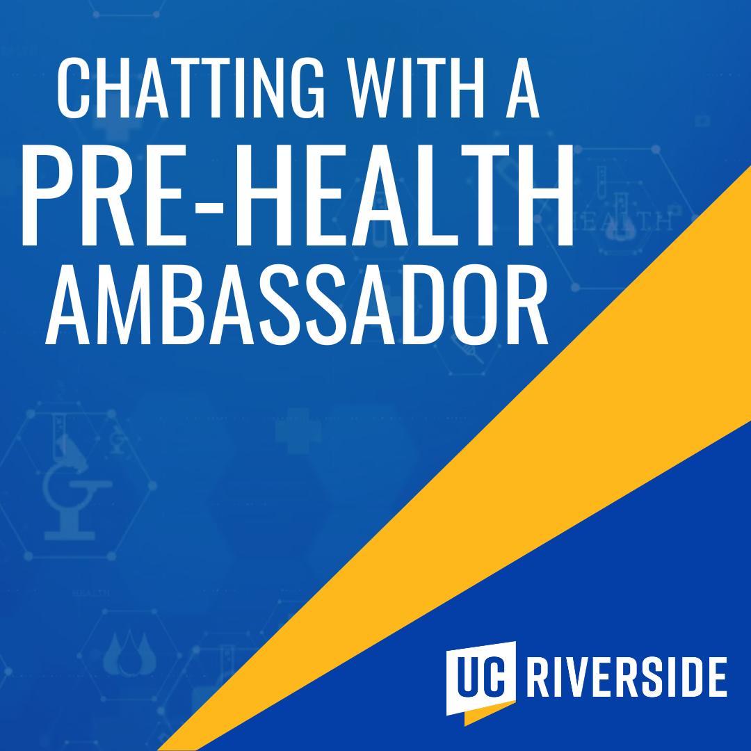 Chatting with a Pre-Health Ambassador