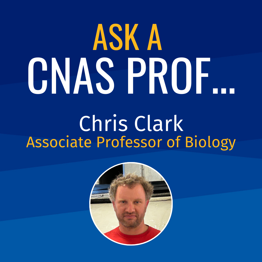 Ask a CNAS Prof Chris Clark Associate Professor of Biology