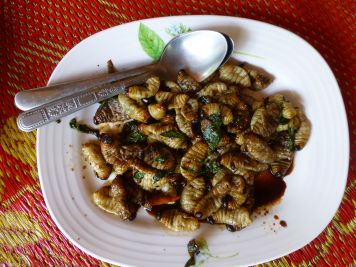 cooked weevil larvae (c) Hoddle Lab / UCR