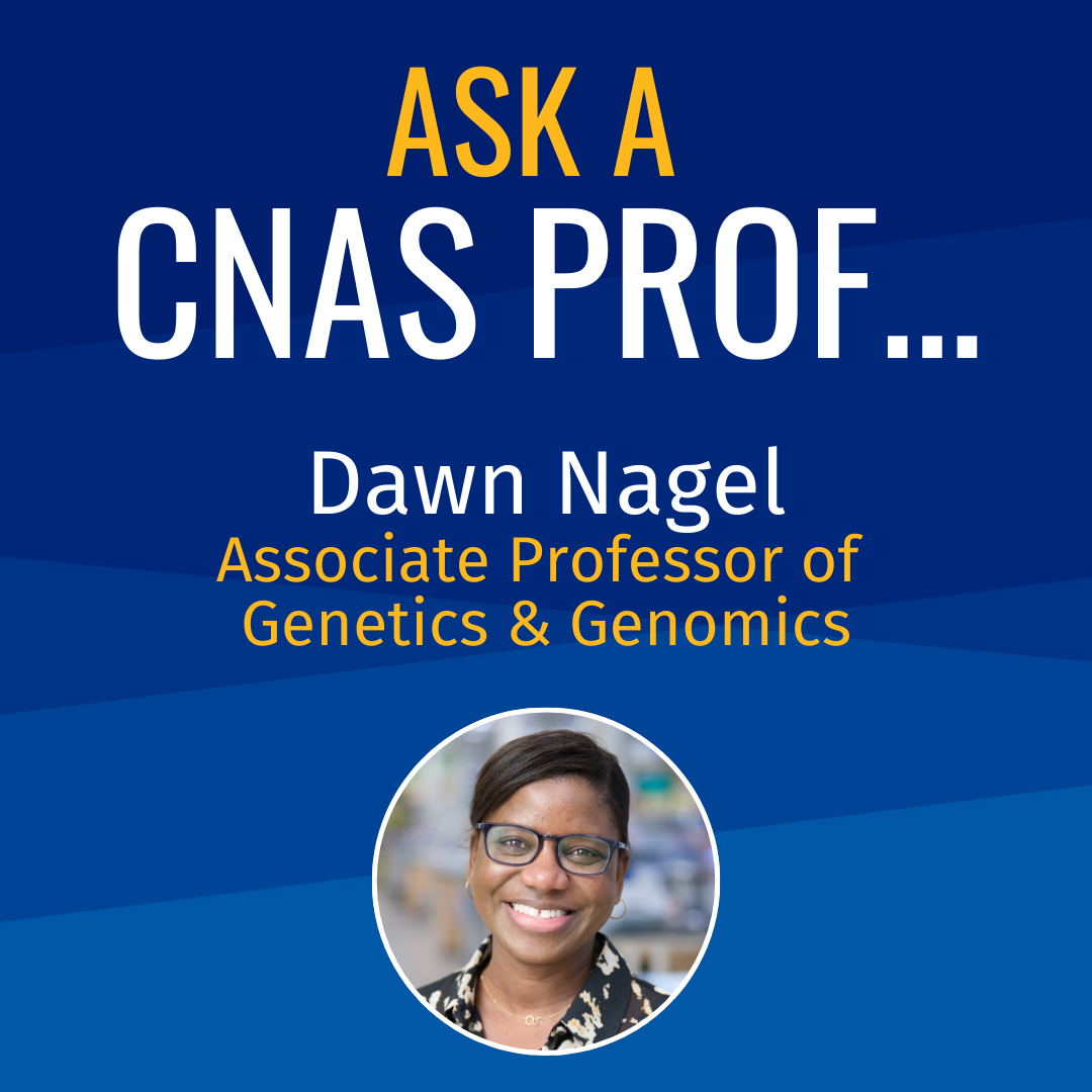 Ask a CNAS Prof Dawn Nagel Associate Professor of Genetics & Genomics