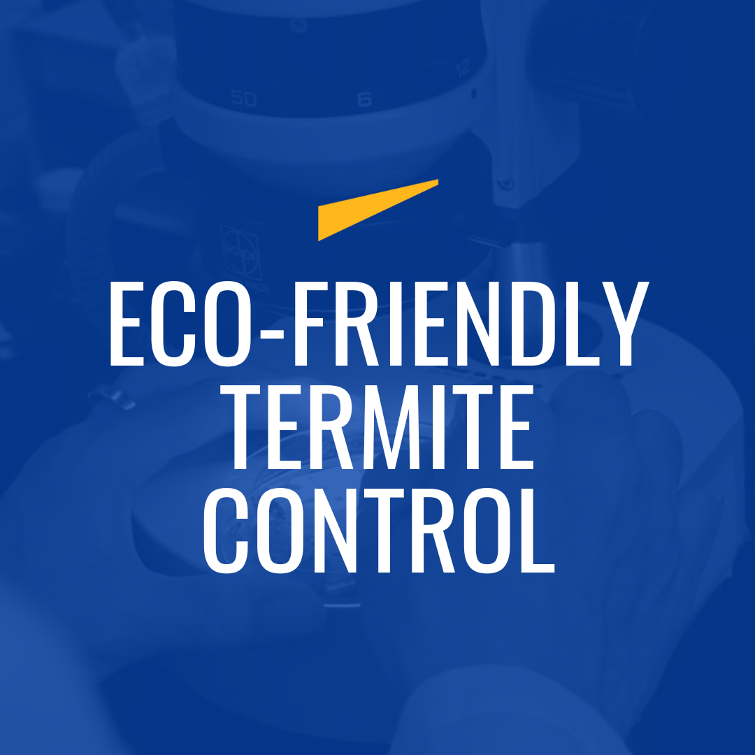 Eco-Friendly Termite Control