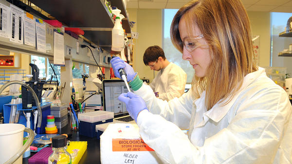 student in Plant Pathology lab (c) UCR / CNAS