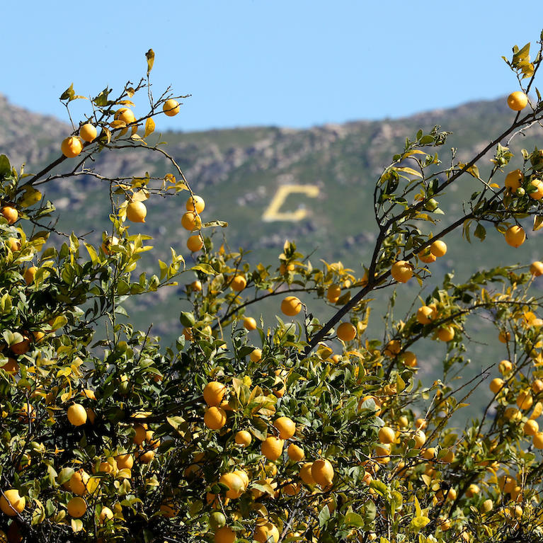 Box Springs Mountain "C" (c) UCR / Stan Lim