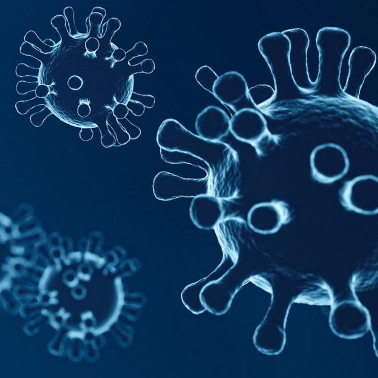 Virus / pixabay.com