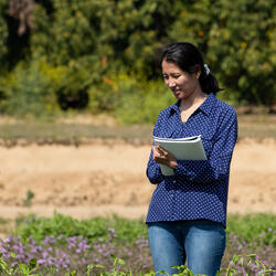 Undergraduate Majors Environmental Sciences Research in the Field