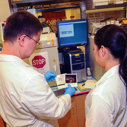 Undergraduate Majors Microbiology Students with Professor in Lab