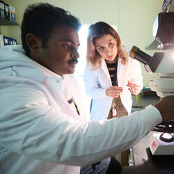 Undergraduate Majors Plant Biology - Researchers at Microscope