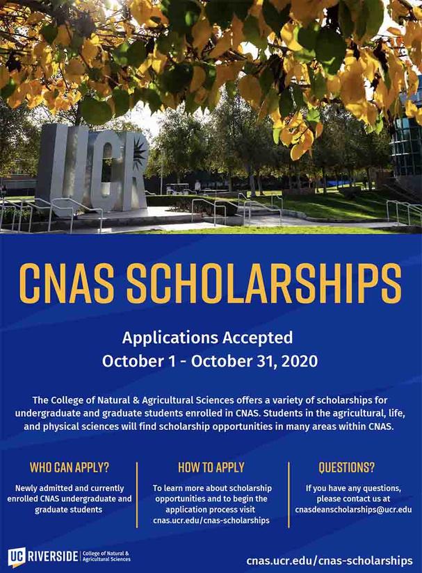 CNAS Scholarships flyer 2020-2021