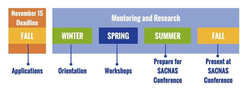 CUSP Scholar Timeline 2020-21